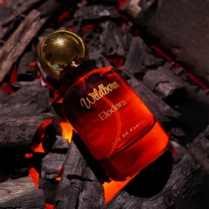 Aromatic layers of Wildborn by Elodora – warm cedarwood, amber, and vetiver scent profile for men who like Sauvage Dior fragrances