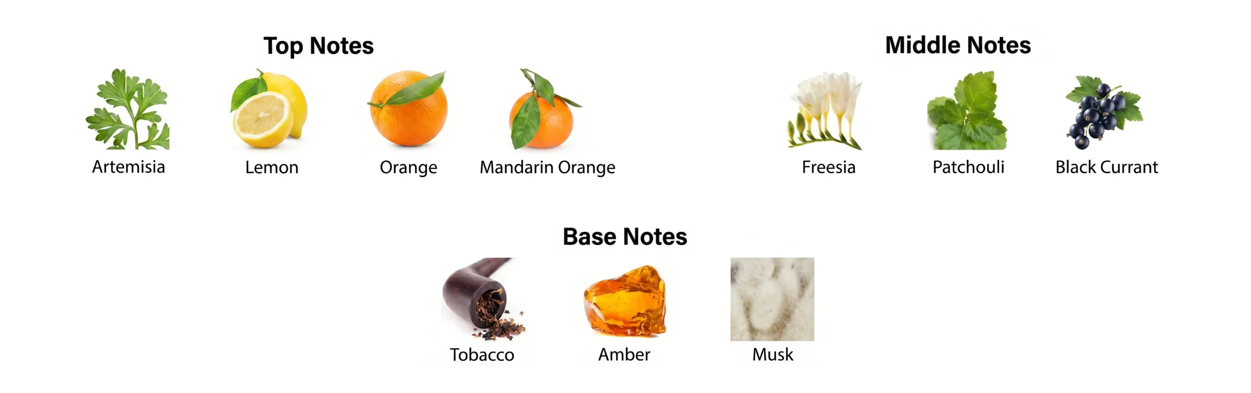 Fragrance Nodes