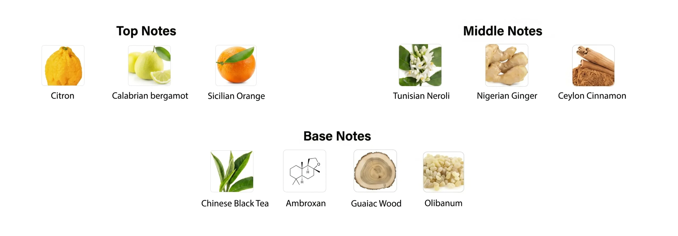 Fragrance Nodes