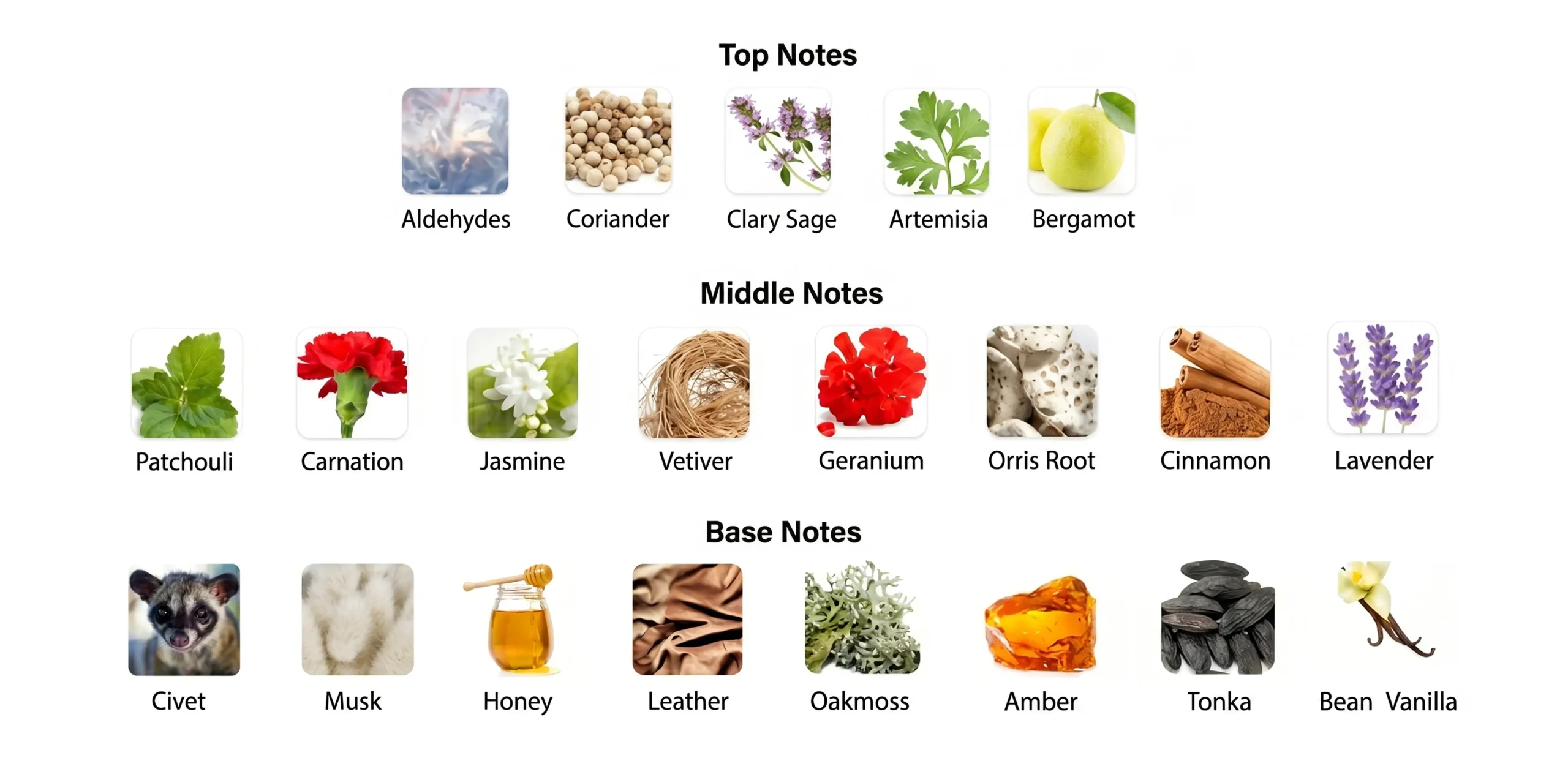 Fragrance Nodes